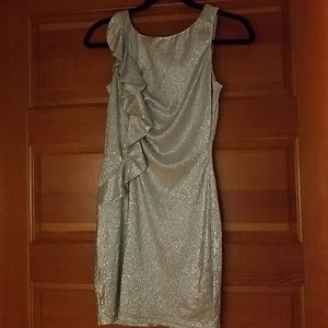 NWT Stunning silver dress!